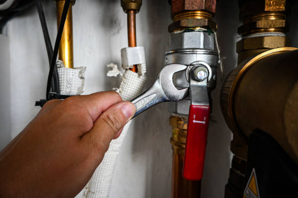 Best Water Softener Installation  in Chauvin, LA